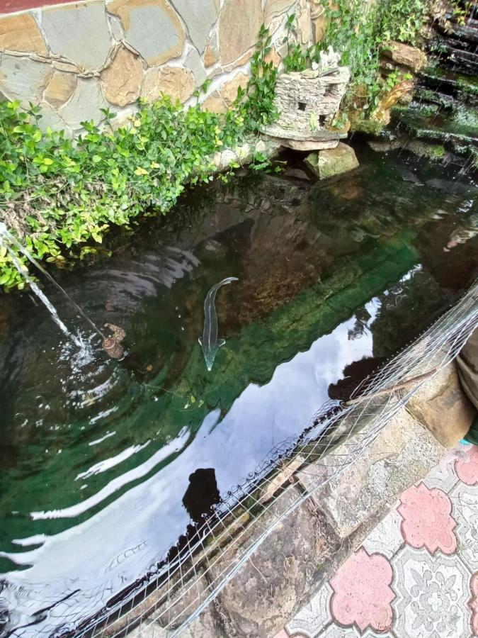 Mechta Guest House Gantiadi Zewnętrze zdjęcie