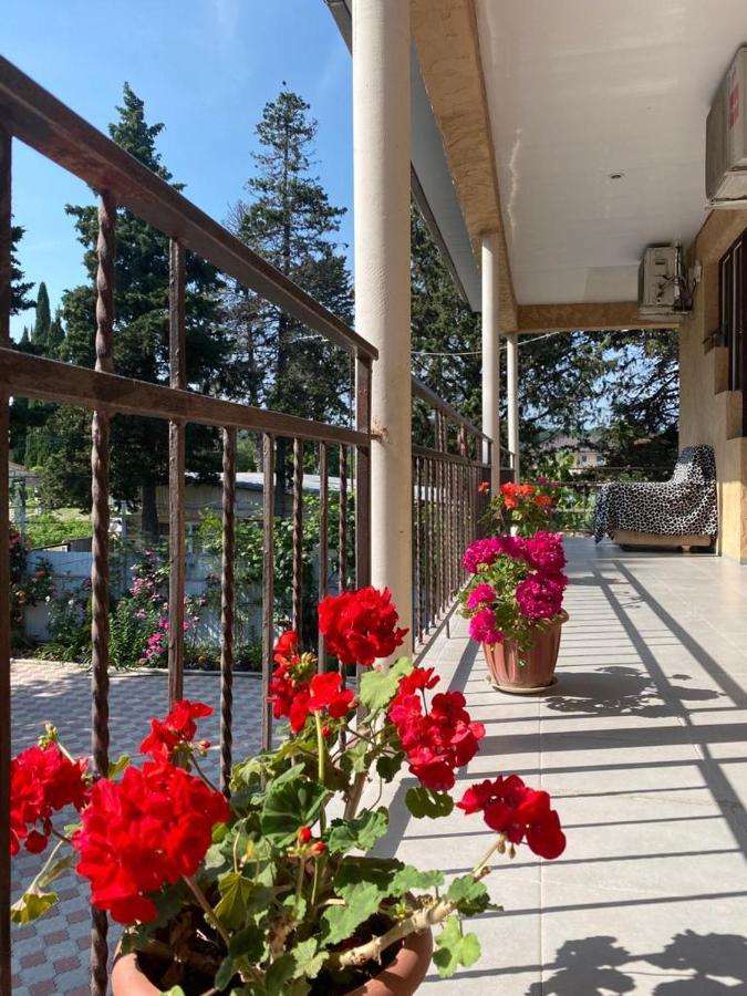 Mechta Guest House Gantiadi Zewnętrze zdjęcie